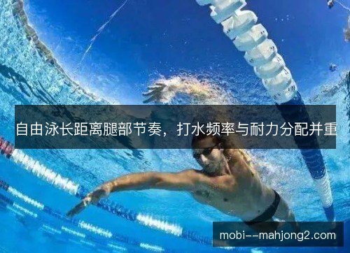 自由泳长距离腿部节奏,打水频率与耐力分配并重 自由泳长距离腿部节奏,打水频率与耐力分配并重